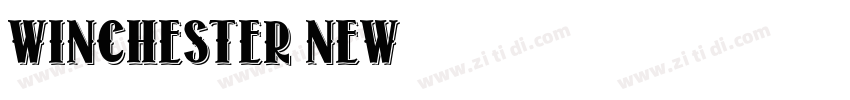 Winchester New字体转换